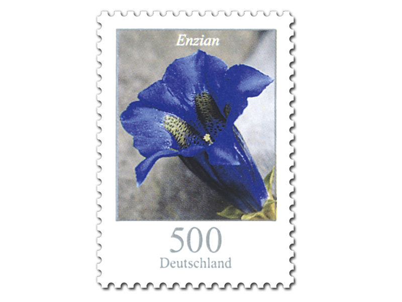 Bild Briefmarke "Dauerserie Blumen - Enzian", 5,00 EUR