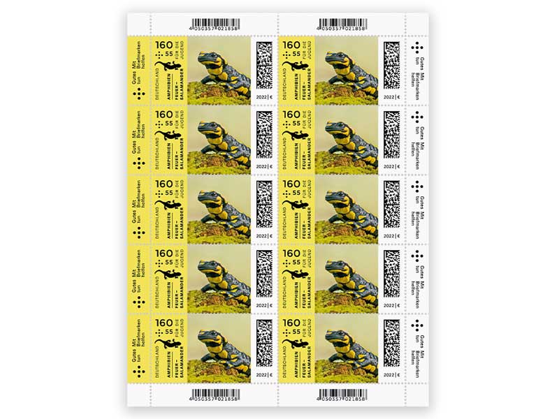 Feuersalamander nach einer Vorlage