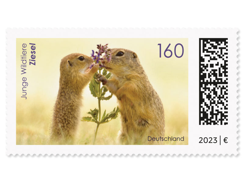 Ziesel, Briefmarke zu 1,60 EUR, 10er-Bogen