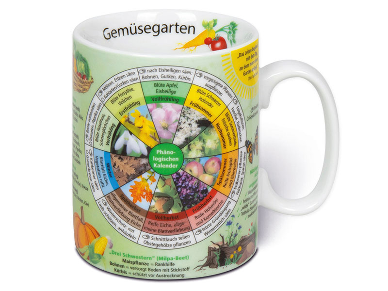 Wissensbecher "Gemüsegarten"