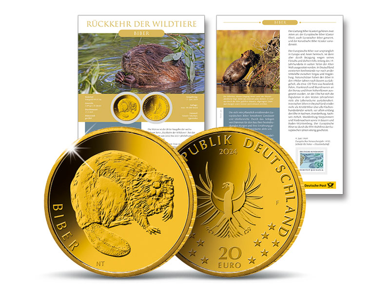 Gold-Numisblatt 2024: "Rckkehr der Wildtiere - Biber"