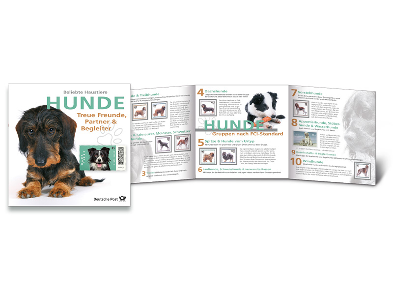 Schmuckblatt "Beliebte Haustiere - Hunde"