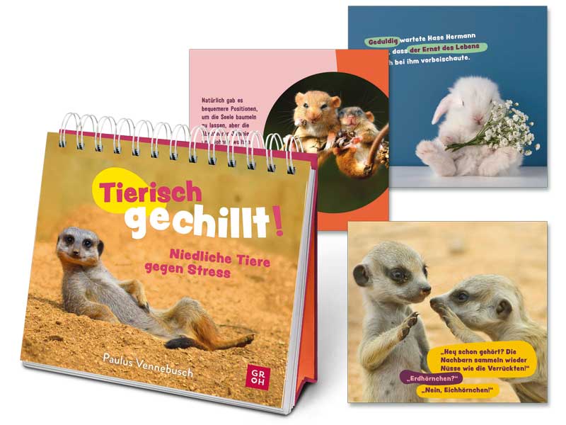 Groh Tischaufsteller Tierisch gechillt!