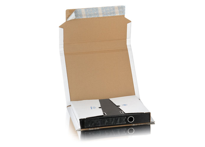 Bong Ordnerverpackung fr 1 Ordner, Format: A4, 20 Stck