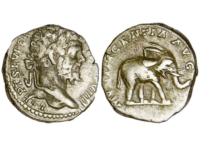 Denar Septimius Severus (Elefant)
